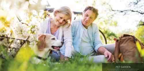 An older couple enjoying the outdoors, sitting on grass with their dog at Signature Global Titsector 71 Gurgaon.