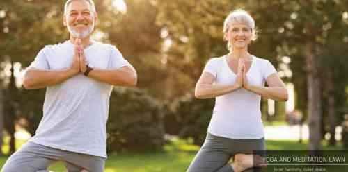 An older couple practicing yoga in the park at Signature Global Titsector 71 Gurgaon .